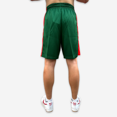 Nike Lithuania Team Shorts Limited Road 2