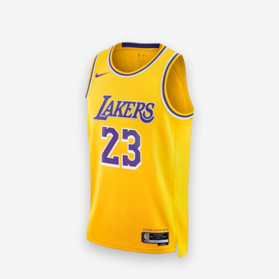 Nike NBA Lakers LeBron James Swingman Kids 2