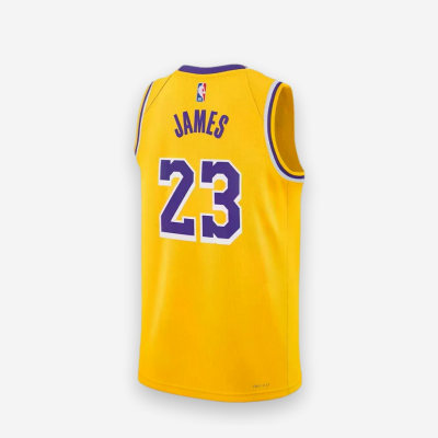 Nike NBA Lakers LeBron James Swingman Kids
